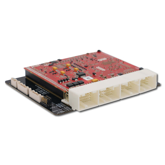 O2 Bung and Plug (O2 B&P)