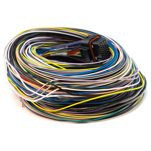 B Loom (5m) - WireIn ECUs (excl Atom & Monsoon)